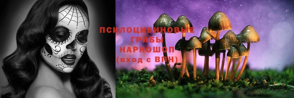 экстази Богородицк