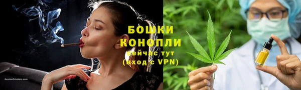 прущая мука Богданович